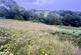 Additional image 8 of Llanon