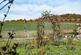 Additional image 20 of Clarkes Spring, Tring, Hertfordshire HP23