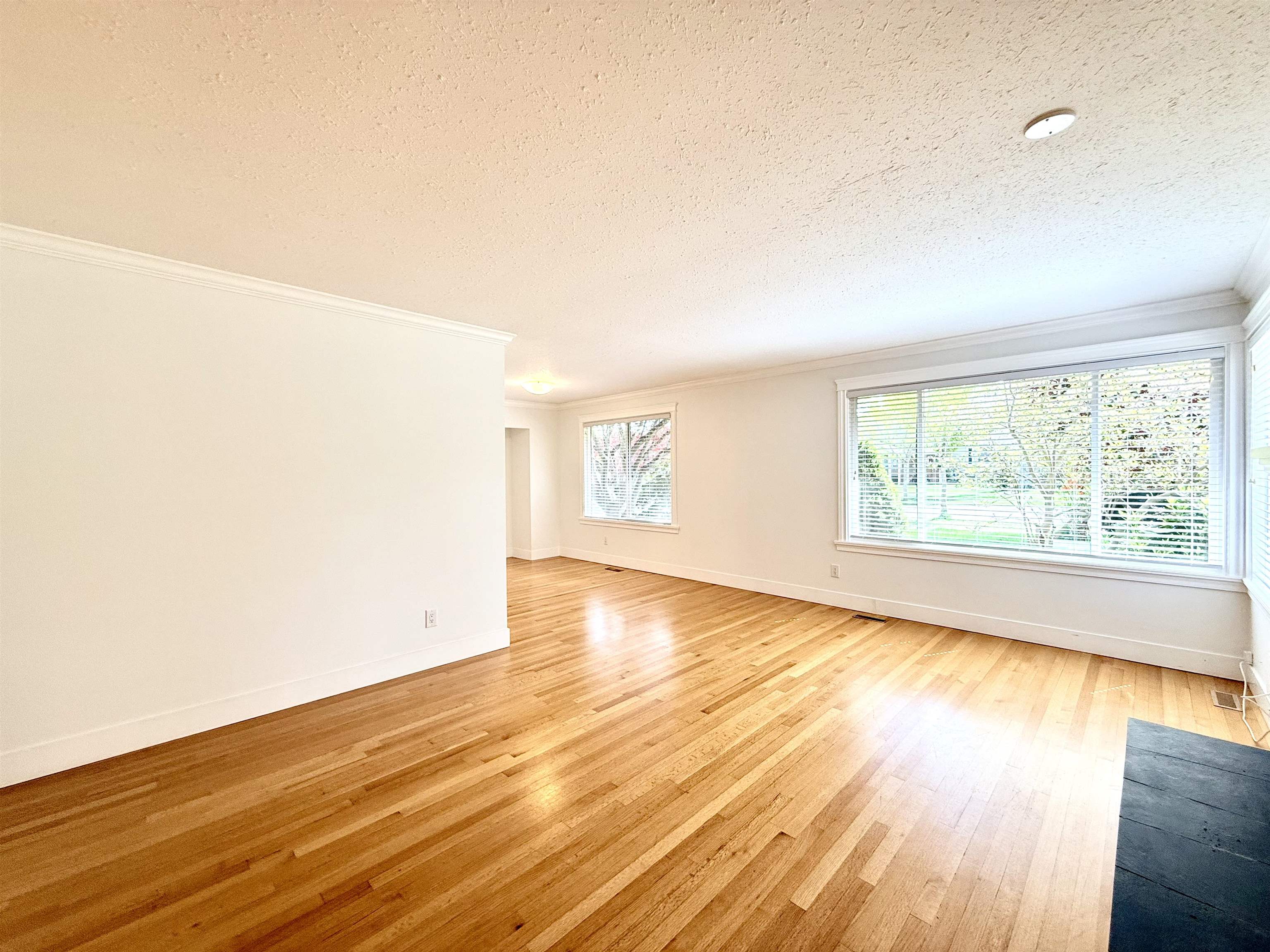 Additional image 5 of 15457 Poplar Drive, Surrey, BC, V4A 5J7