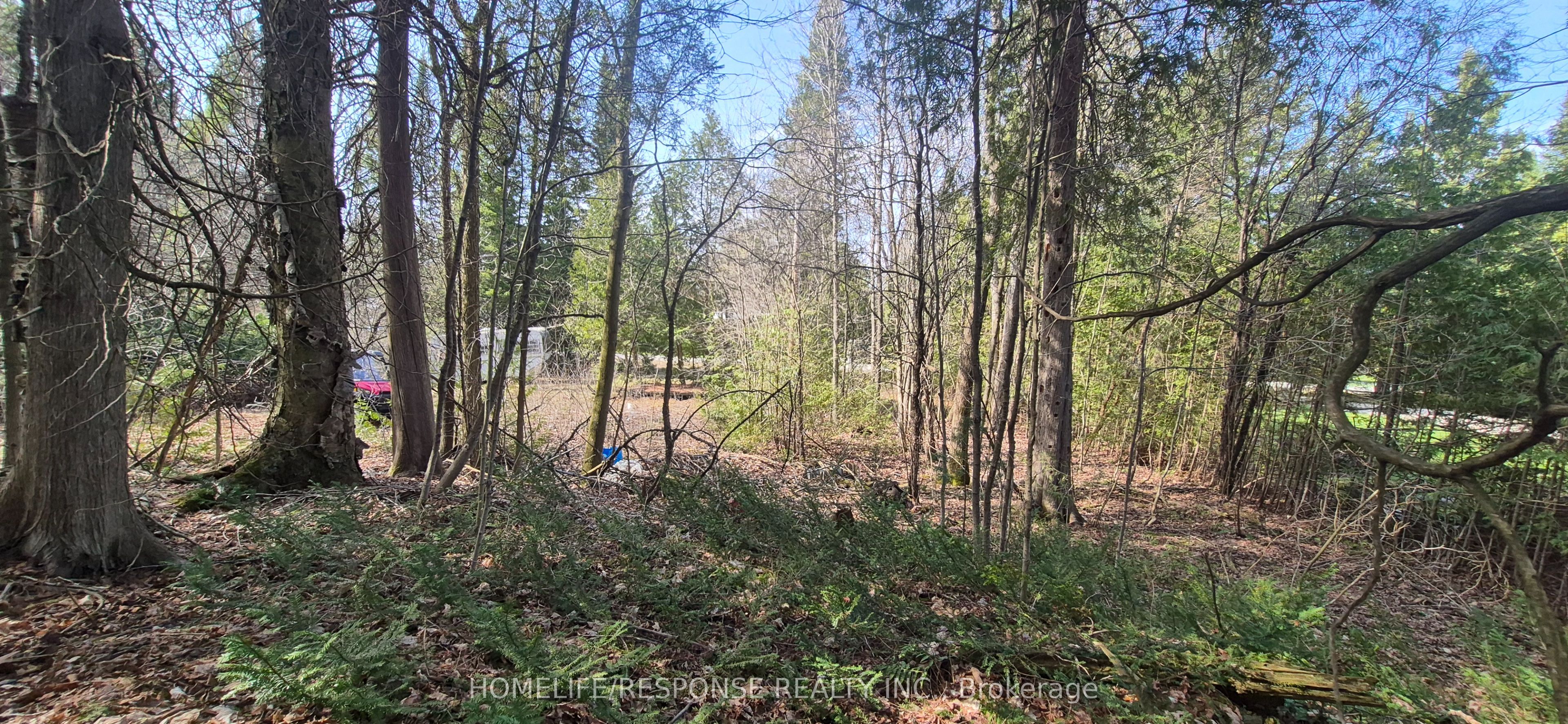 Additional image 3 of 48 Waldweg N/a, Scugog, ON, L0B 1B0