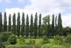Additional image 14 of Berry Avenue, Breedon-on-the-Hill