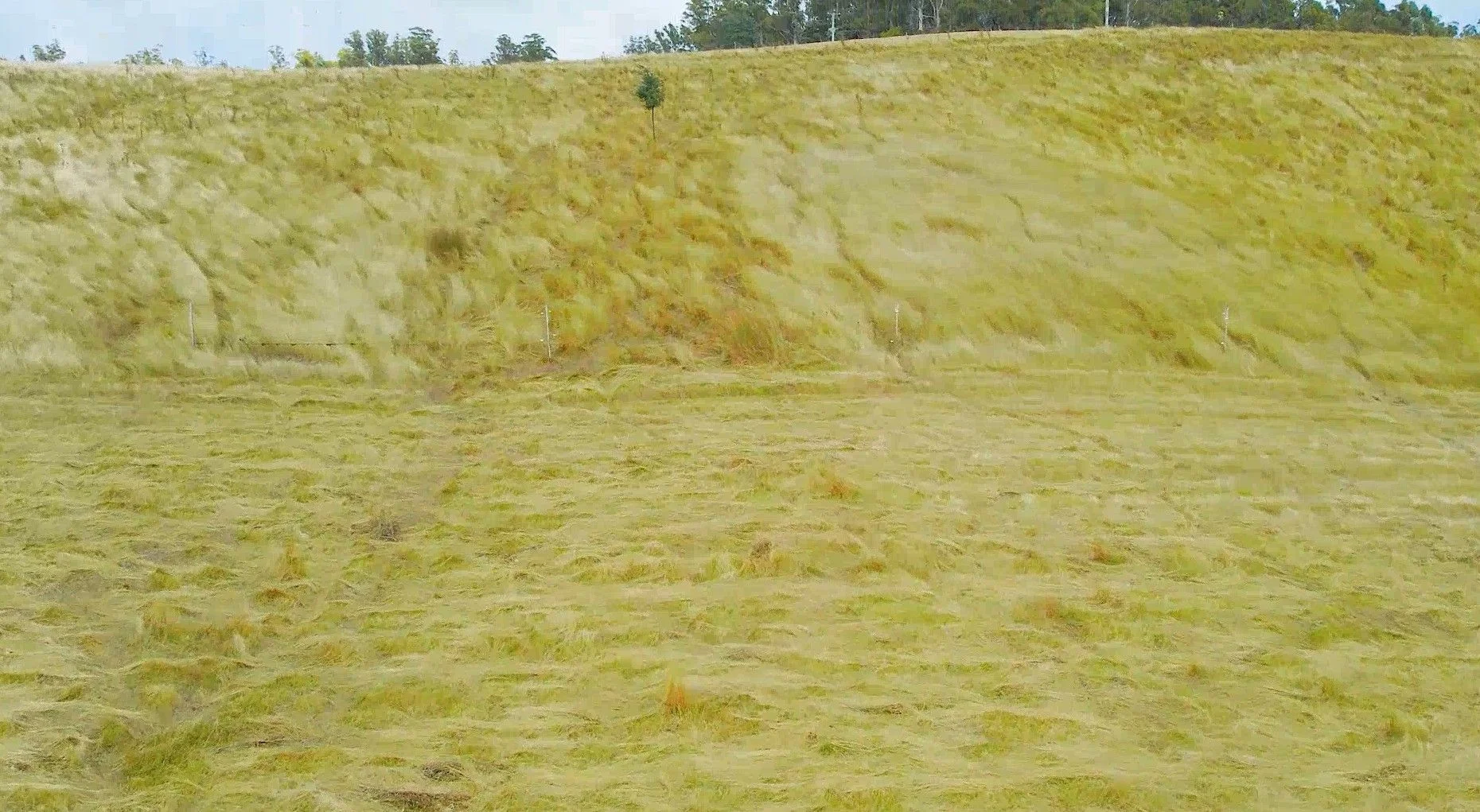 Additional image 32 of Glengarry TAS 7275