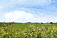 Additional image 11 of South Street, Wigton CA7
