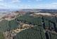 Additional image 2 of Ayton  Hill Forest, Near Aberargie, Perthshire PH2