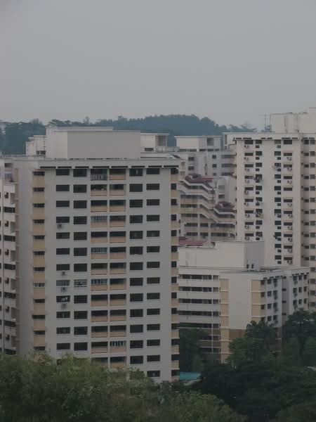 Additional image 5 of 528 Jelapang Road