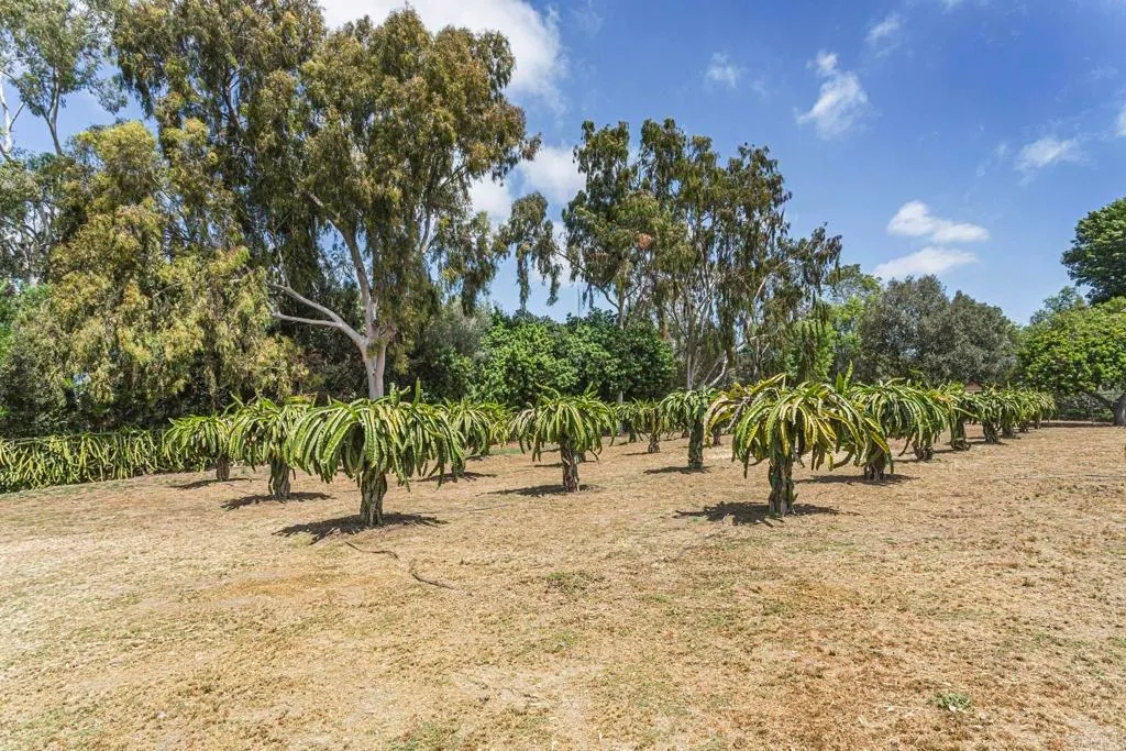 Additional image 93 of 5770 El Montevideo + Via De Fortuna Lot, Rancho Santa Fe, CA 92067
