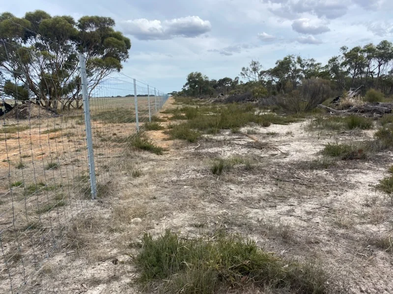 Additional image 4 of Kaniva VIC 3419
