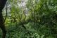 Additional image 37 of Manchester Road, Northwich CW9
