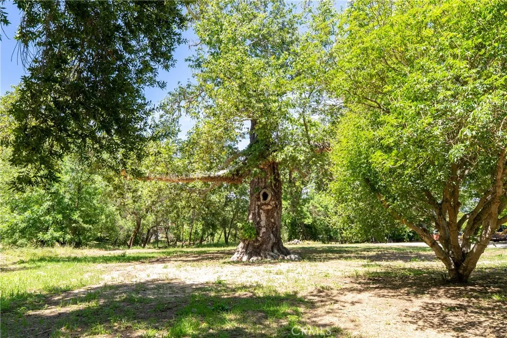 Additional image 125 of 7900 Portola Rd, Atascadero, CA 93422