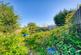 Additional image 44 of Deacon Cottage, Pennyfine Road, Sunniside