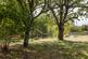 Additional image 17 of Claygate Road, Laddingford, ME18