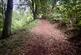 Additional image 4 of Llanon