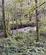 Additional image 15 of Irongray DG2