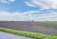 Additional image 19 of Spilsby Road, New Leake, PE22