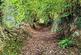 Additional image 83 of Pontgarreg, Llandysul