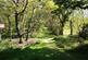 Additional image 4 of The Copse Plot 5 Little Lions Farm, Lions Hill Way, Ashley Heath, Ringwood, Hampshire, BH24 2EU