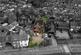 Additional image 3 of Leicester Road, Sapcote