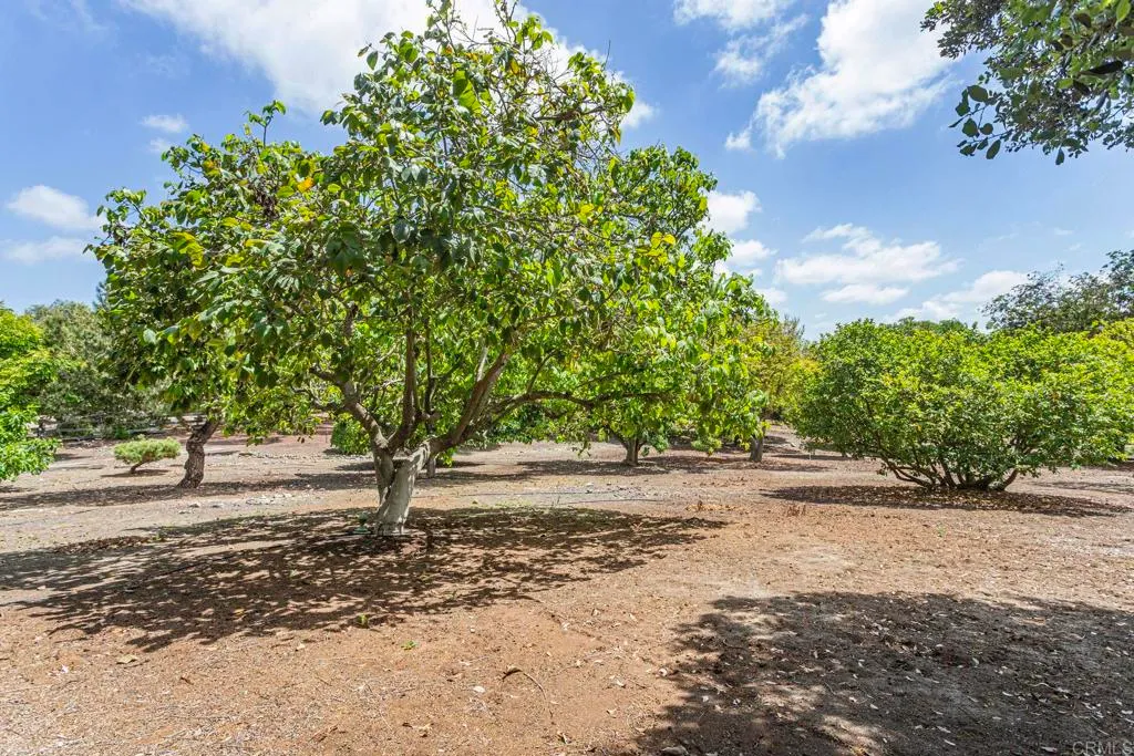 Additional image 44 of 5770 El Montevideo + Via De Fortuna Lot, Rancho Santa Fe, CA 92067