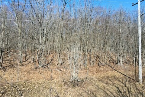 Additional image 6 of Lot 33 Macavalley Road, Tiny, ON, 00000