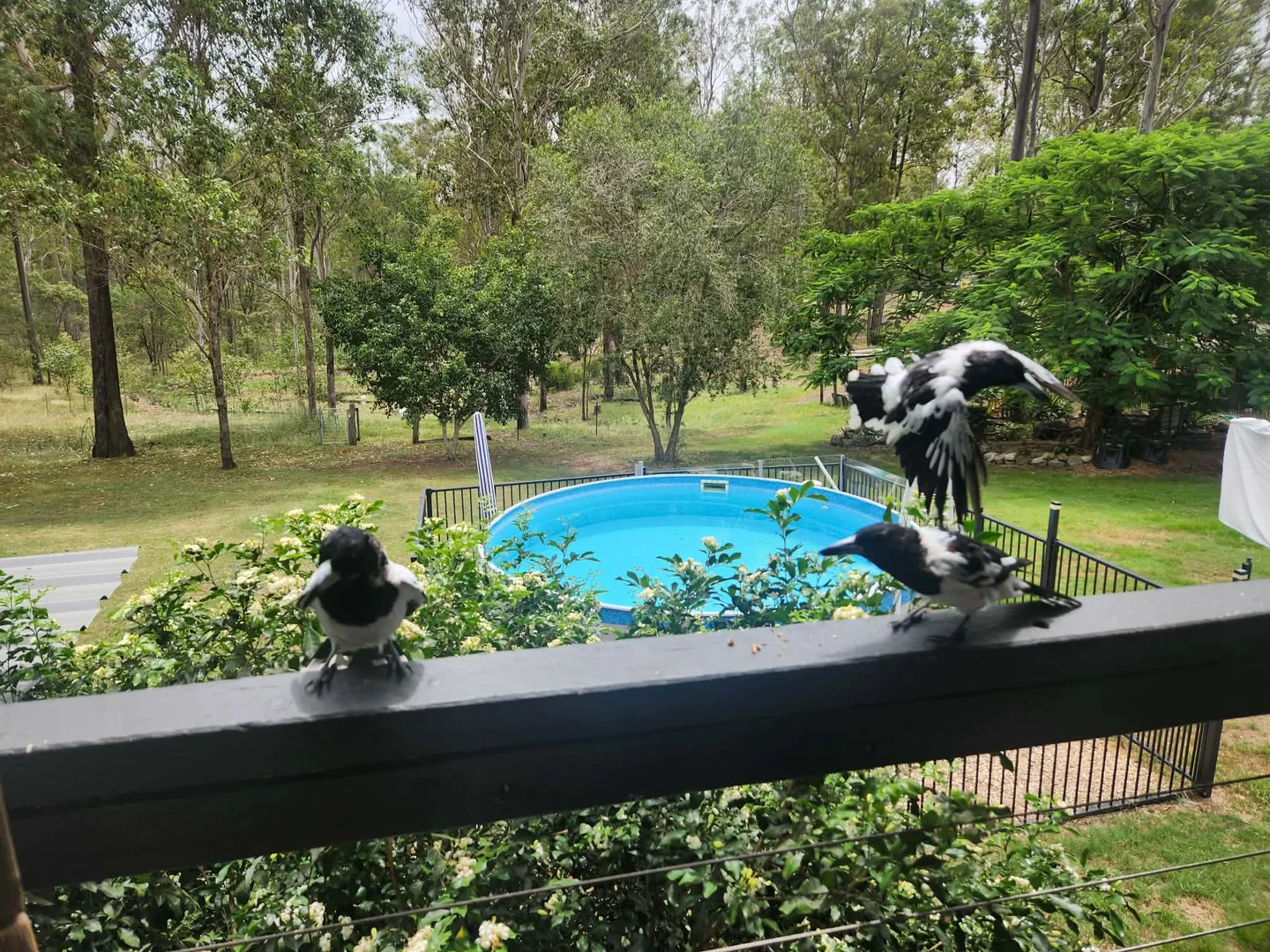 Additional image 2 of Curra QLD 4570