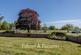 Additional image 2 of Westholme Close, Woodbridge, Suffolk, IP12