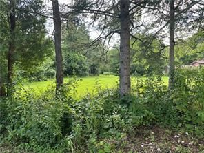 1161 Edgewood Road, Hamilton, ON, L8B 1A1