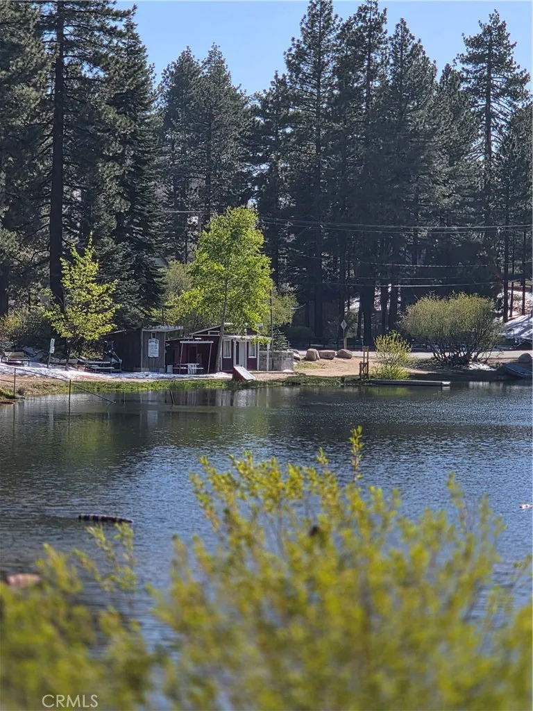Additional image 22 of 525 Yukon Dr, Green Valley Lake, CA 92341