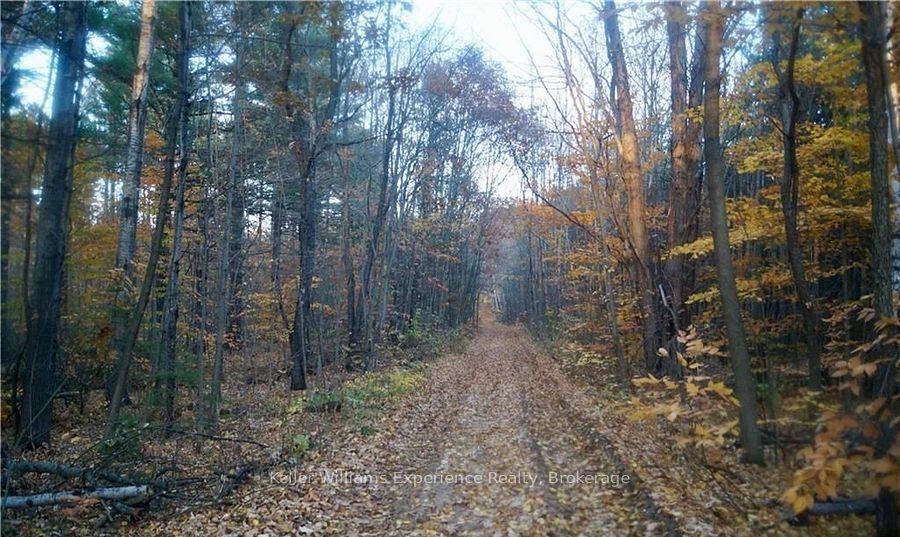 Additional image 3 of PL 20 Concession 18 N/a W, Tiny, ON, L9M 0K2