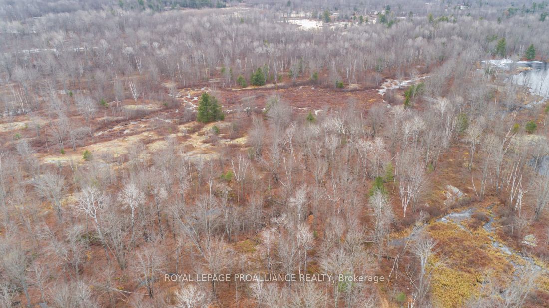 Additional image 4 of 1446 Flinton Road, Tweed, ON, K0H 1P0