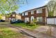 Birch Drive
