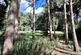 Additional image 33 of Brookview, Pinewood, Ipswich, Suffolk, IP8