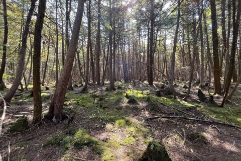 Additional image 8 of Lot 25 Champlain Road, Tiny, ON, L9M 0C3