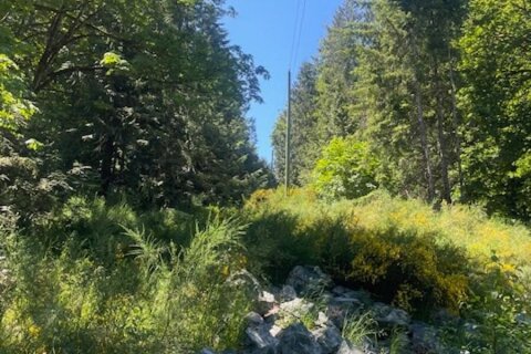 Additional image 8 of Lot 11 Thain Road, Cobble Hill, BC, V0R 1L5