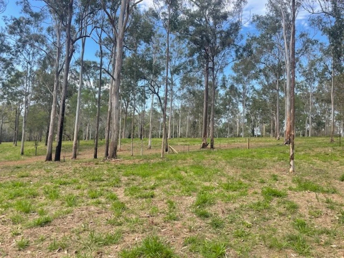 Additional image 4 of Kurwongbah QLD 4503