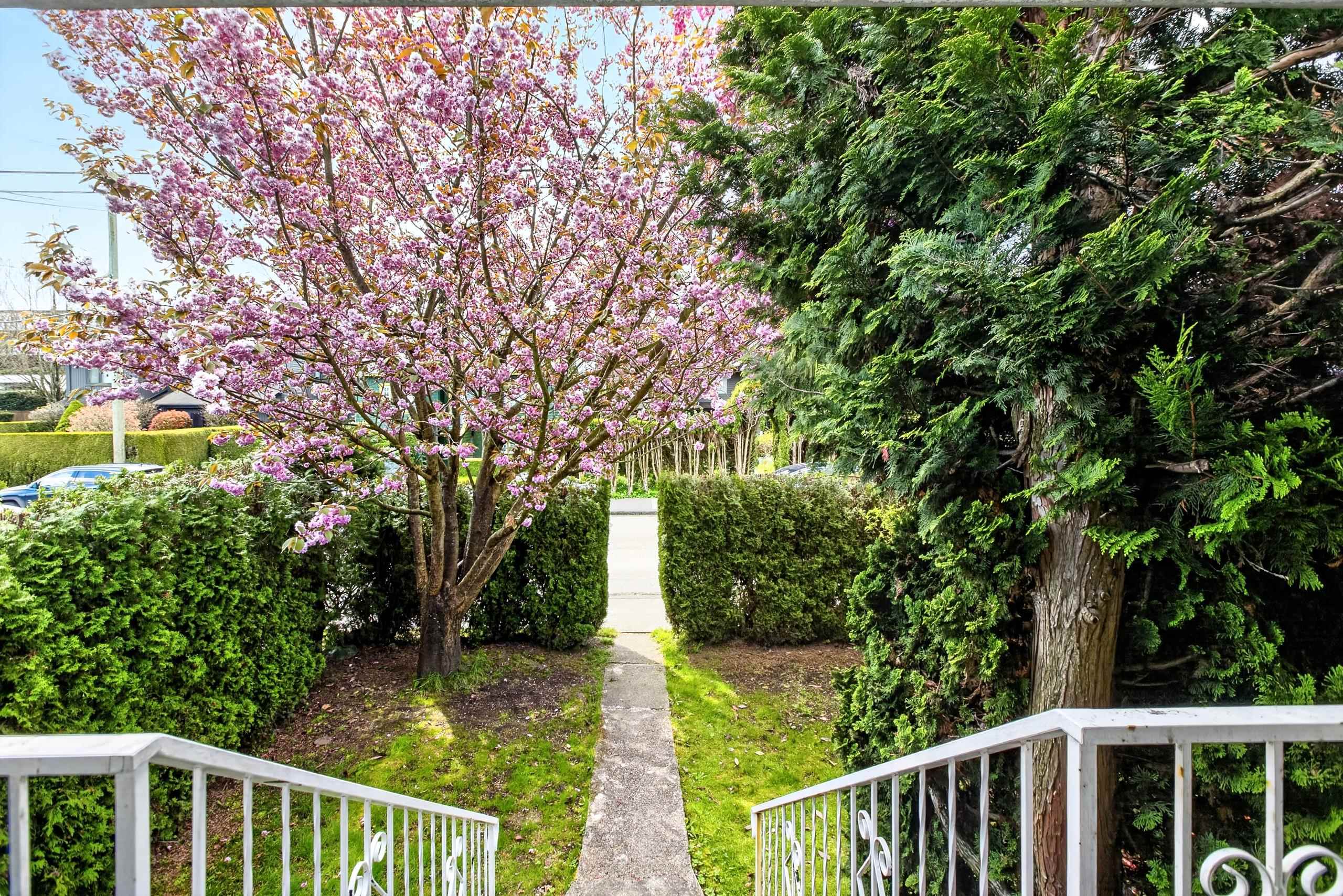 Additional image 4 of 2975 8th Avenue W, Vancouver, BC, V6K 2C2