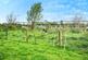 Additional image 27 of Alltwalis Road, Carmarthen SA32