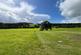 Additional image 46 of Rhydyfelin, Near Aberystwyth, Ceredigion, SY23