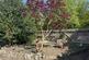 Additional image 11 of Beech Avenue, South Croydon CR2