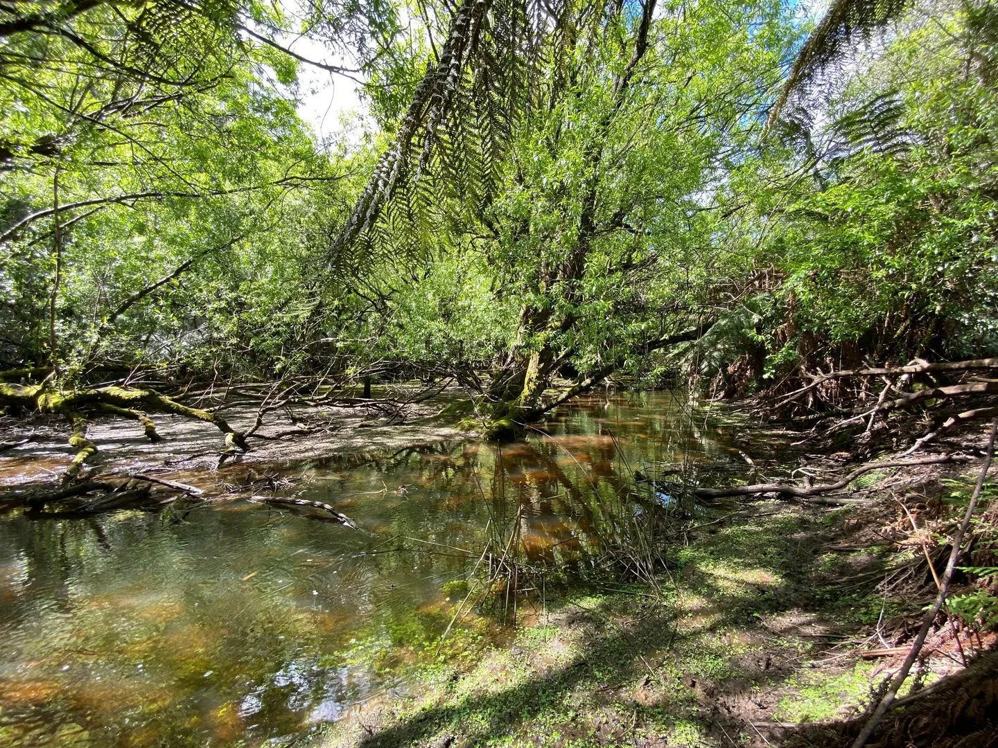 Additional image 35 of Glengarry TAS 7275
