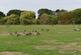Additional image 13 of Elm Park, Hornchurch RM12