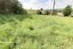 Additional image 34 of Leadendale Lane, Rough Close