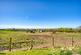 Additional image 45 of Deacon Cottage, Pennyfine Road, Sunniside