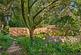 Additional image 16 of East Lane, Cuddington, Northwich
