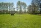 Additional image 28 of Upshirebury Green, Upshire, Essex, EN9