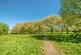 Additional image 8 of Phoenix Way, Battersea, London, SW18