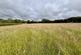 Additional image 2 of Rhydrosser, Llanrhystud
