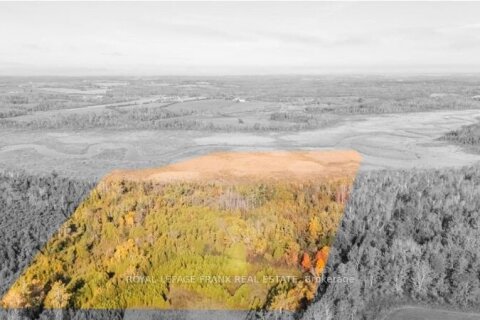 Additional image 7 of 740 Mount Horeb Road, Kawartha Lakes, ON, K0L 2X0