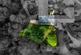 Additional image 38 of Andrew Lane, Stockport, SK6