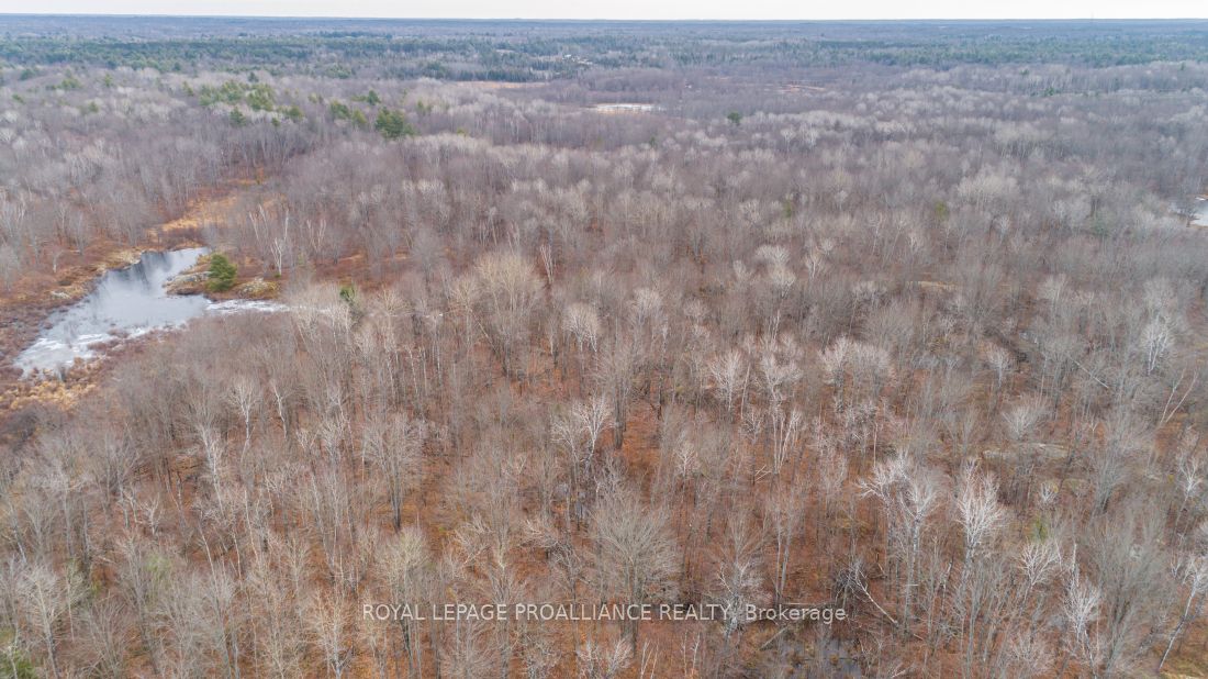 Additional image 5 of 1446 Flinton Road, Tweed, ON, K0H 1P0