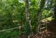Additional image 11 of New Milton, Hampshire, BH25